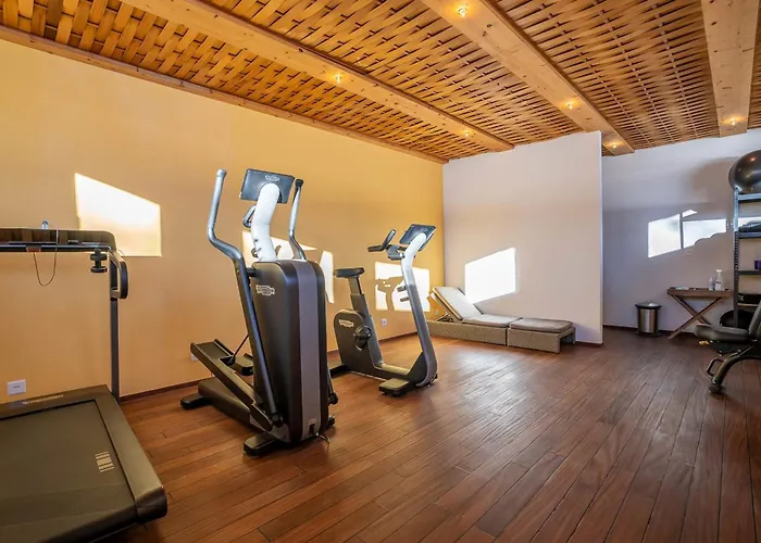 Royal A Penthouse Riederalp