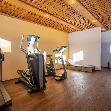 Royal A Penthouse Riederalp